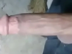 亚裔大鸡巴!! japanese interview well-pleased porn