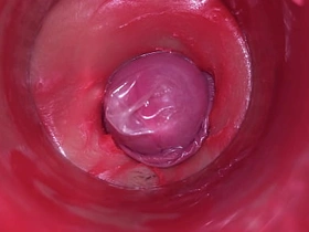 阴道内镜头：浓精爆射！4K高清内射ASMR极致体验 pinoy boy gay porn